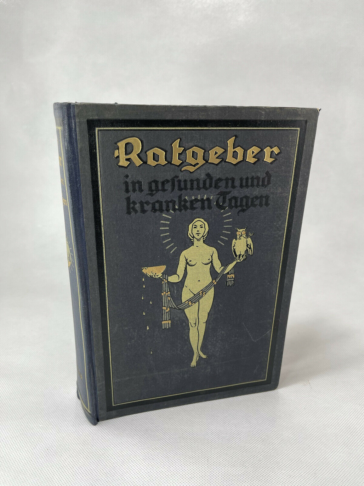 Dr. Konig Ratgeber In Gefundenund Kranken German Volume Ii Antique Medical Book